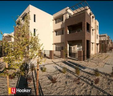 Ascot Apartments - Photo 1