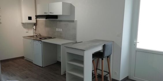 Location Appartement 1 pièce 20m² LE BLANC 36300 - Photo 3