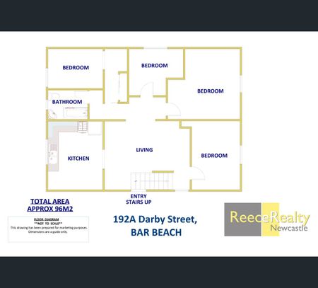 192a Darby Street, Cooks Hill, NSW 2300 - Photo 5