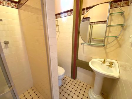 1/160 Smith Street, Summer Hill NSW 2130 - Studio For Rent | Domain - Photo 2