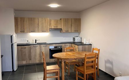 Appartement à louer 2 pièces • 58,88 m2 La Roche-sur-Foron - Photo 4