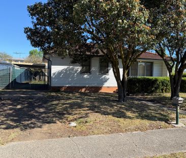 Freshly Painted home - Photo 4