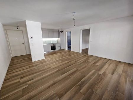 Gudo, affitto 2.5 locali con terrazzo - Foto 4