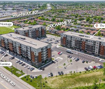 For Lease - 4755 WALKER Road Unit# 314, Windsor, Ontario - Photo 6