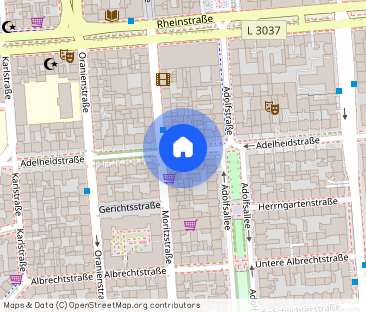 RHEINGAUVIERTEL - Charmante Wohnung in ruhigem Hinterhaus: 2 Zimmer... - Foto 1