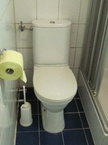 Garconniere im EG- ruhige, hofseitige Lage - Photo 4