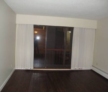 1 BDR-Welcome to Pine Manor clean & professionally managed - Photo 4