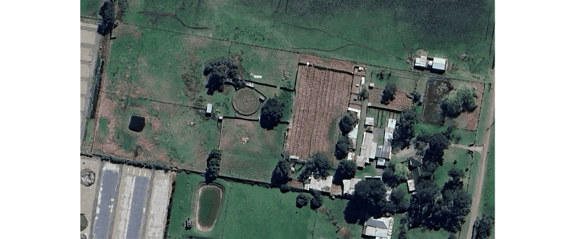 Bring your Horses and your Dogs (7 Acres ) - Photo 1