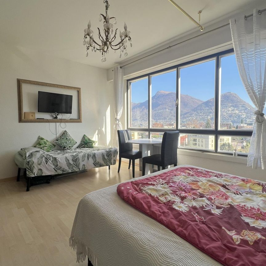 AFFITTASI ELEGANTE 1.5 LOCALI CON VISTA APERTA A LUGANO - Foto 1