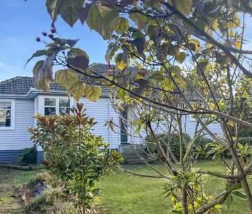 MASTERTON -3 BEDROOMS - Photo 4