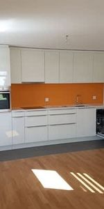 2.5 Zimmer, 57 m², EG - Foto 3