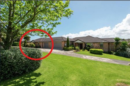 Charming 1-Bedroom Minor Dwelling in Rural Papakura - Photo 4