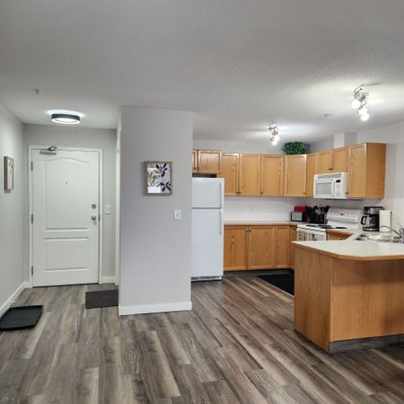 227, 260 Duston Street, Red Deer, Alberta **furnished** - Photo 5