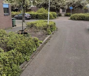Maison Familiale Barietdijk, Roosendaal - À Louer - Foto 1