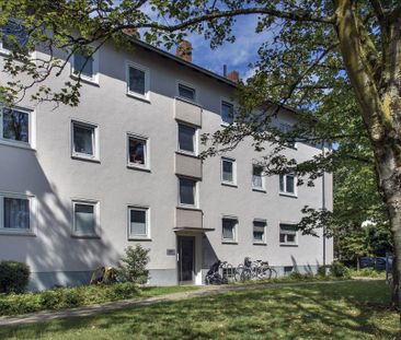 Ab März frei: 3-Zimmer-Wohnung auf dem Knüll! - Photo 2