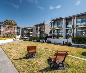 56/18 Austin Street, Griffith ACT 2603 - Apartment For Rent | Domain - Photo 3