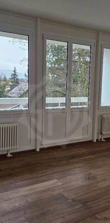 Bel Appartement - Petit-Lancy - Photo 2