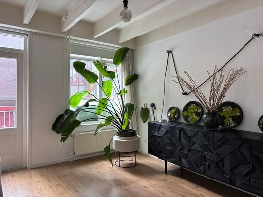 Ruim 3-kamerappartement in het centrum van Den Haag – per 5 juni beschikbaar! - Photo 1