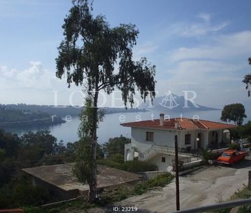 Μονοκατοικία για ενοικίαση Αίγινα - Φωτογραφία 3
