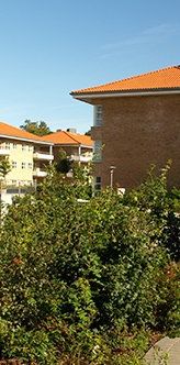 Ved Store Dyrehave 2, 2. th - Foto 1