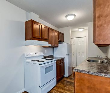 Renovated Suite - 2 Bedroom - Photo 1