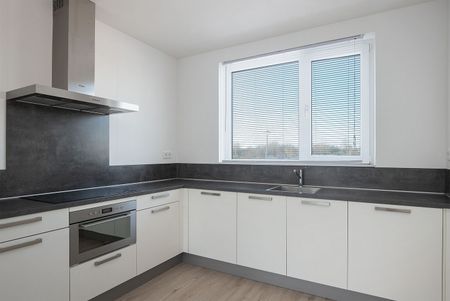 Huis te huur: Ranonkellaan 253 8245 HE Lelystad - Photo 4