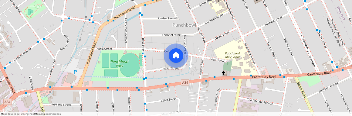 30 Viola Street, Punchbowl 2196, New South Wales