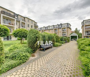 Wyścigi, Sopot - Zdjęcie 5