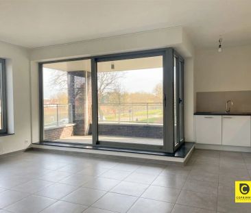 Appartement - Photo 4