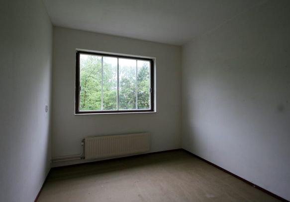 Korenmolen 37 - Foto 1