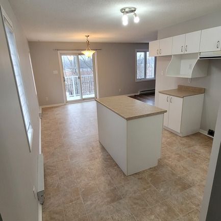 Grand 4 1/2 Sans Voisin Arrière - Photo 1