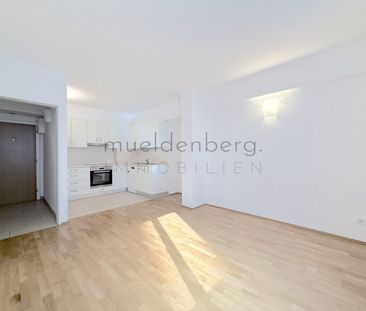 Charmante 2-Zimmer Wohnung in 1010 Wien - Foto 6