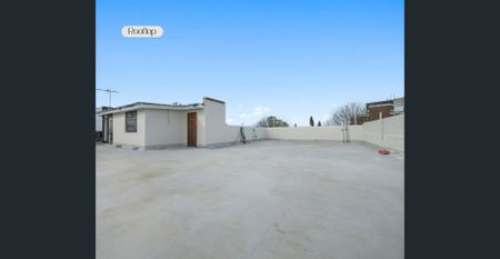 Spacious. Sunlit. Elevated. - Photo 3