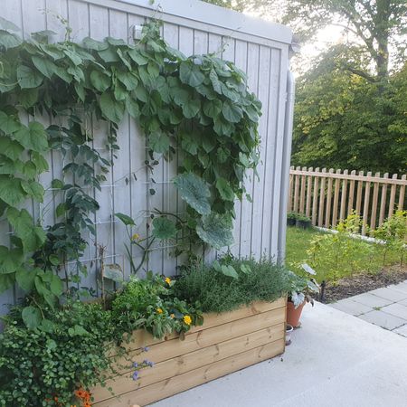 Ebba Ströms gata, Malmö - Photo 5