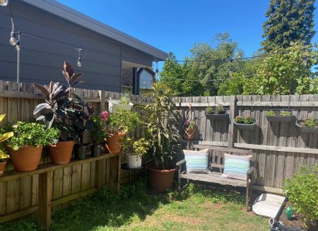 Dulwich Hill - Photo 3