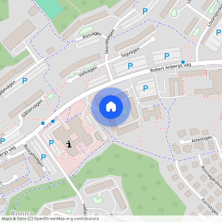 Robert Anbergs Väg 21, Ronna