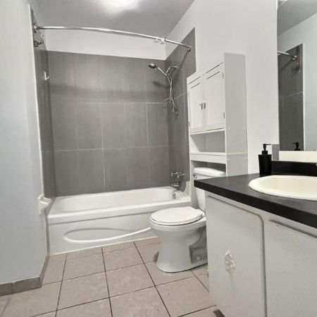 2 CH - 1 SDB - Montréal - $1,345 /mo - Photo 4