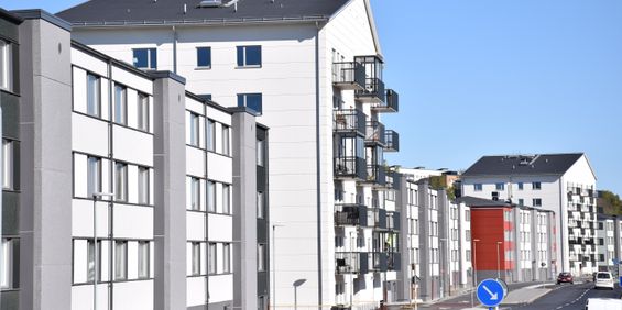 Långströmsgatan 16B - Foto 3