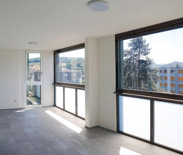Sanierte 4.5 Z.-Wohnung mit grossem Wintergarten-Balkon und Aussicht - Photo 3