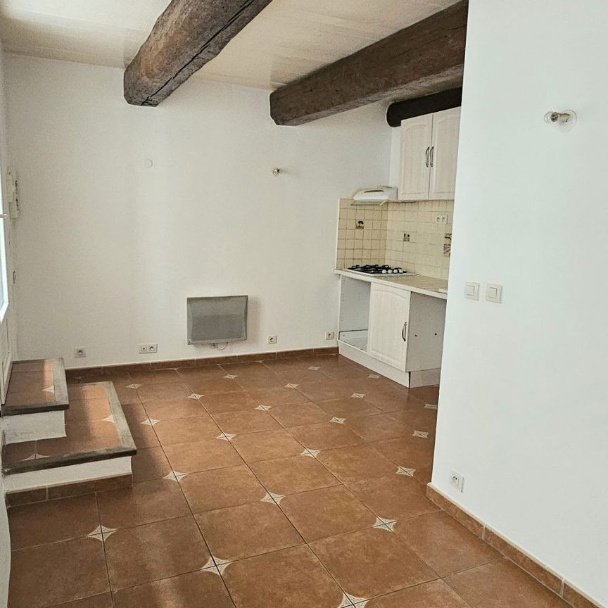 Location Appartement 1 pièce 19m² GONFARON 83590 - Photo 1
