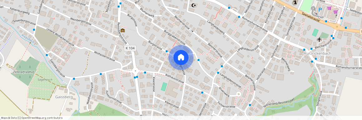 8280, Kreuzlingen, Burgstrasse, 25