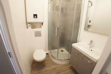 Location Appartement 2 pièces Meublé 36m² ANGERS 49000 - Photo 4