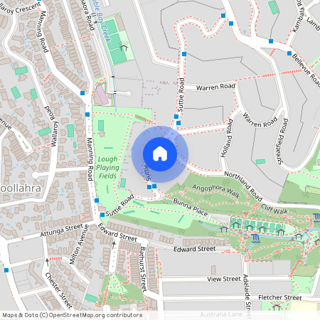 20 Suttie Road Bellevue Hill