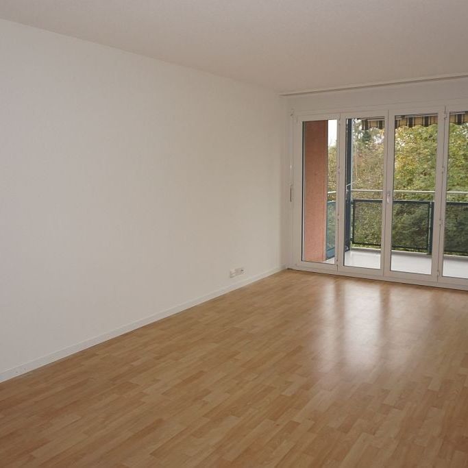 2 1/2-Zimmerwohnung, 2. Stock rechts - Foto 1