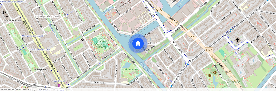 Zodiakplein 80, Binckhorst, 2516CD, Den Haag