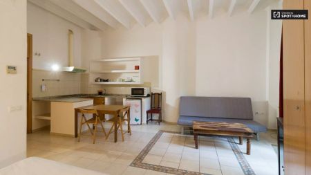 Studio for rent in El Raval, Barcelona, bills included - Photo 5