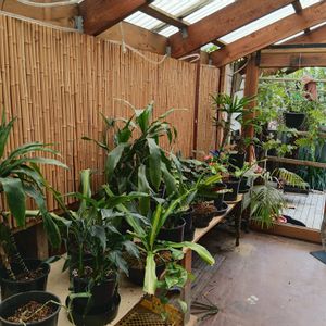 Mordialloc - Photo 3