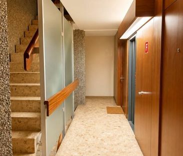 URGENT – Lease renewal – Nice studio in a quiet environment - Photo 3