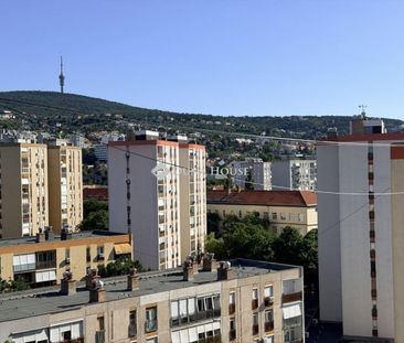 Kiadó jó állapotú panel lakás - Pécs - Fotó 3