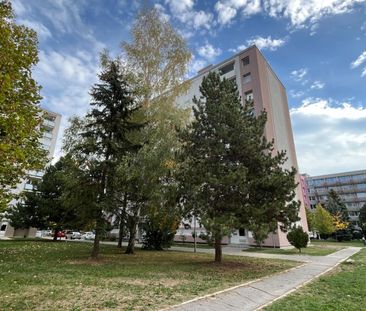 Jednoizbový byt po kompletnej rekonštrukcii sídlisko A. Trajan - Photo 5